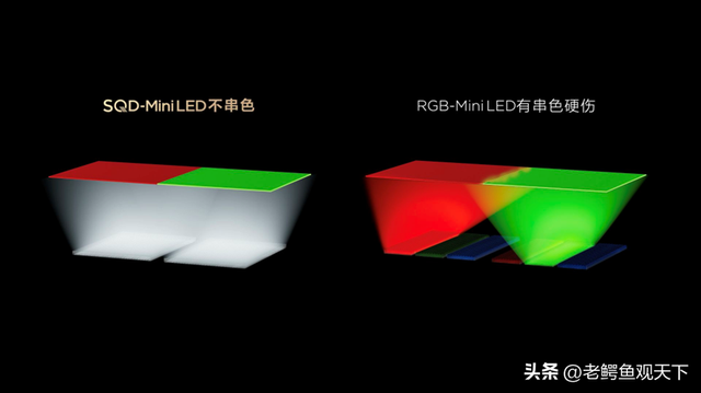 全球显示技术竞赛迎来中国答案 TCL SQD-MiniLED全局高色域征服行业