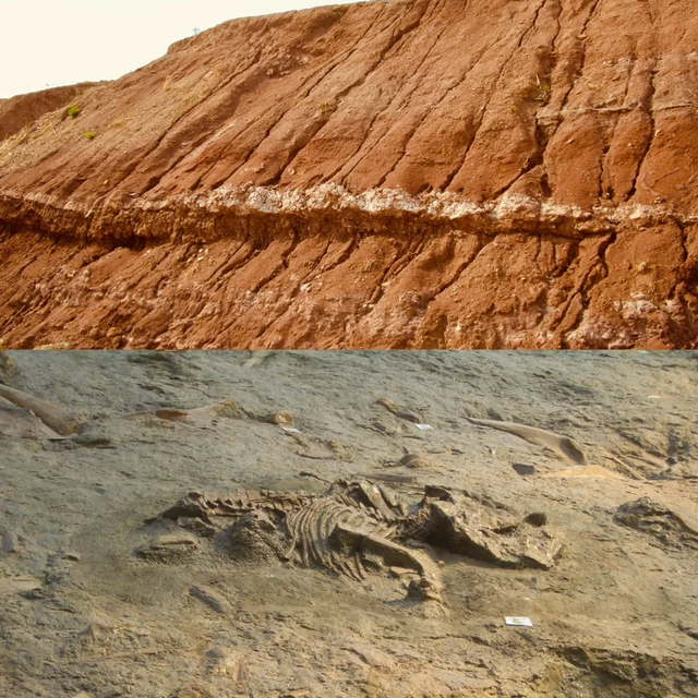 我是上海大学生	，刚游完诸城，憋了 6 个疑问不吐不快！