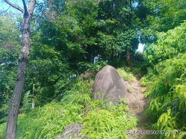 福安溪柄流米寺：寻幽揽胜，畅享神仙之乐