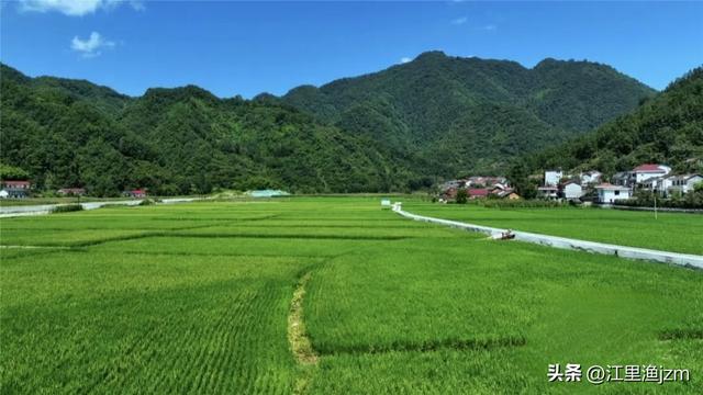 西川：秦岭深处的水墨长卷