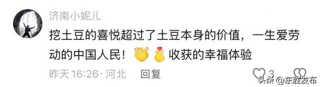 内蒙古土豆，“捡”的咋比买的还香？