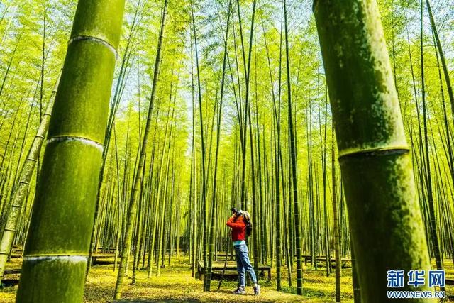 地理冷知识—资溪