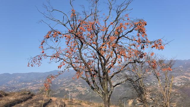 早阳，第一抹阳光