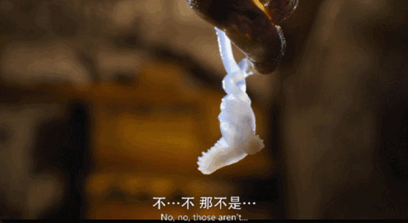 内娱男星讲荤段子，居然拿下豆瓣8.9