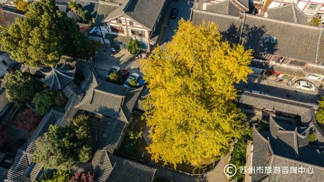 苏州吃羊肉的季节到了!打卡线路推荐→