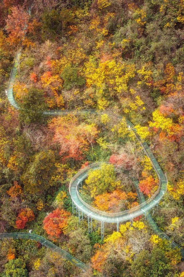 黄陂这些点位出片率绝了！