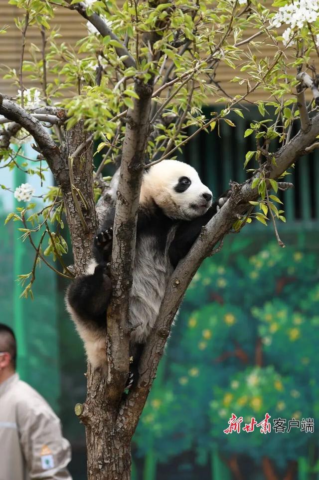 如意甘肃·畅游五一 | 寻迹陇原古韵，解锁快乐假期