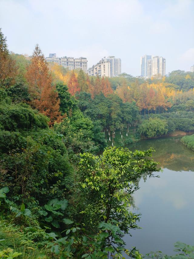 盘溪河的冬，藏着山城最温柔的秋意