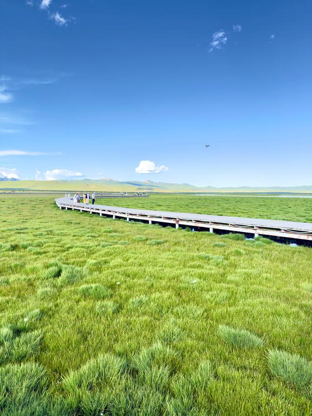 绿原无垠漫风烟（阿坝州若尔盖县花湖生态旅游区）