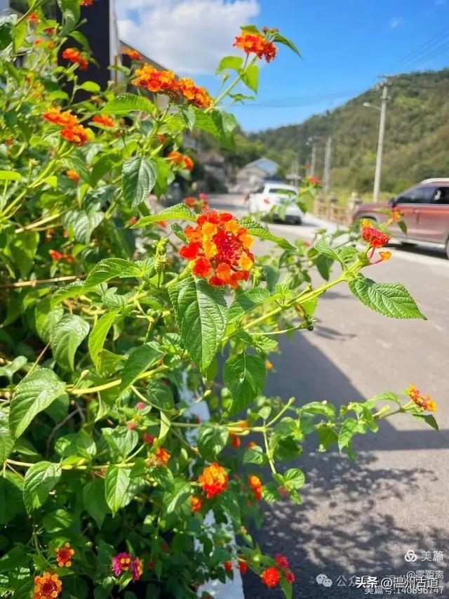 秋风起，浙江这条绝美海岛风光徒步穿越线路，可以安排了！