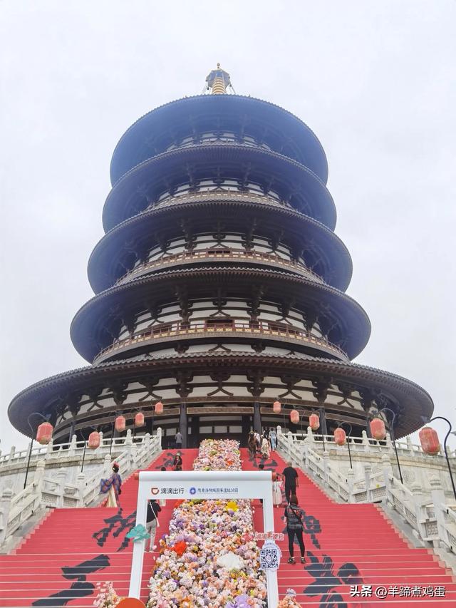 做几天洛阳人——游河南洛阳赏牡丹芬芳 总体概述(四)