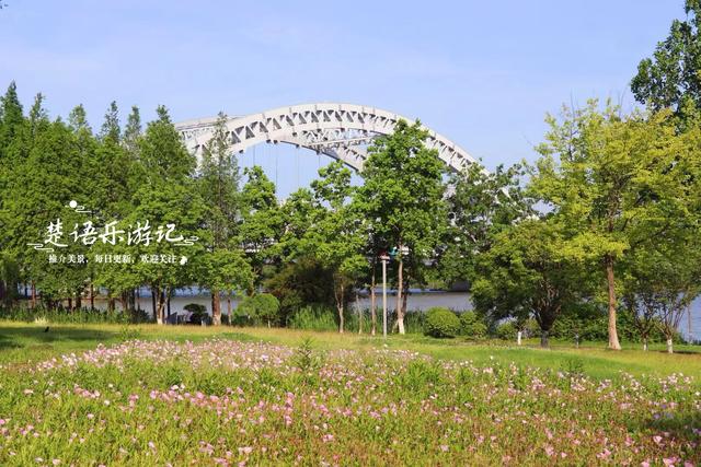 浙江宁波的江畔公园，湿地、溪谷、花海等一应俱全，堪称露营胜地