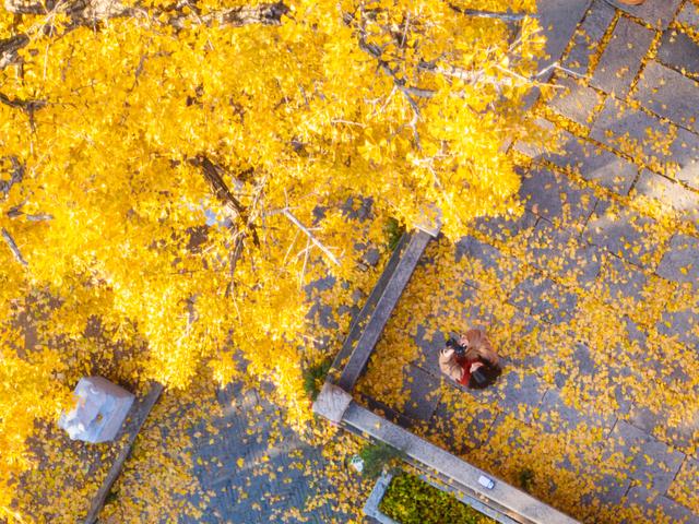 常州的秋，醉了