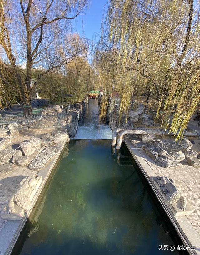 紫竹院冬日偶遇退休教授，一句话让我明白生活9个层次