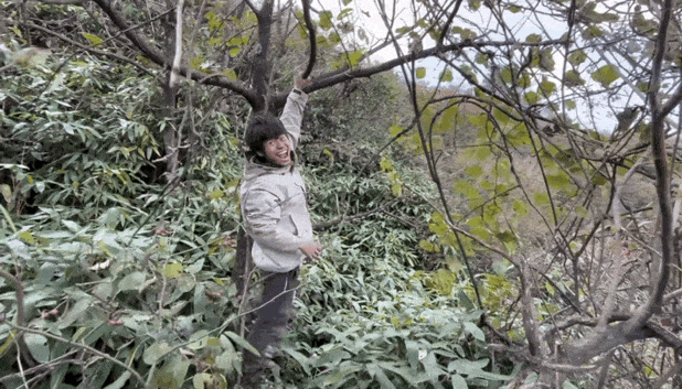 为了治疗精神内耗	，他们脱下长衫去山里当起了野人