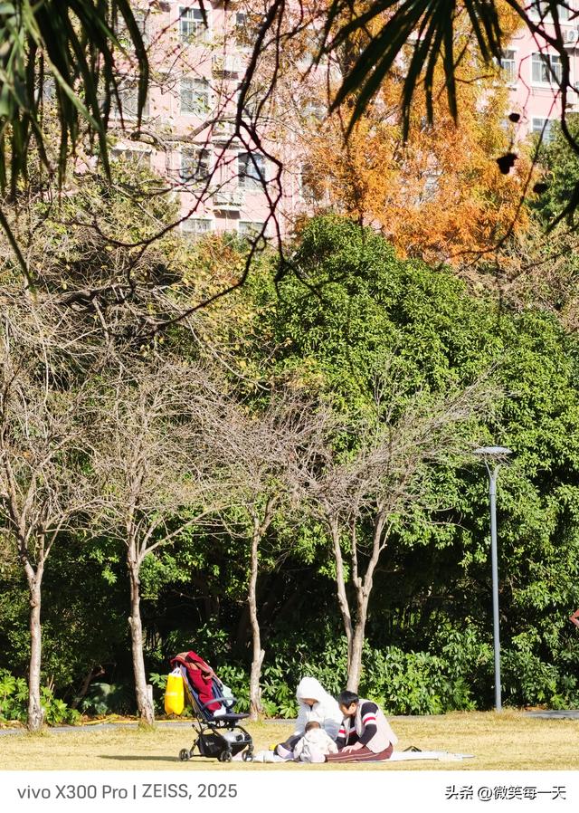 碧沙岗的秋，是郑州偷给我的半日温柔