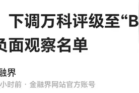 惠誉下调万科评级，万科遭遇连环打压图片