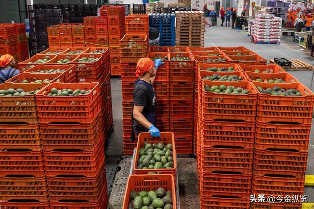 墨西哥市长亡灵节遭枪杀！警方保护失效，凶手连开7枪震惊全场！