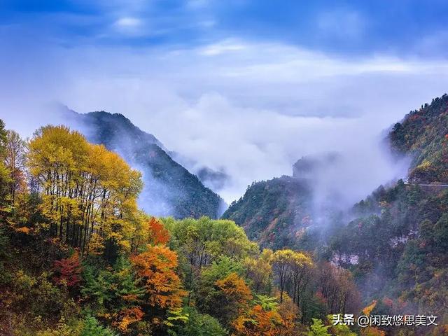 随笔：以晨露沏茶，拿暮色养心，把日子过成诗