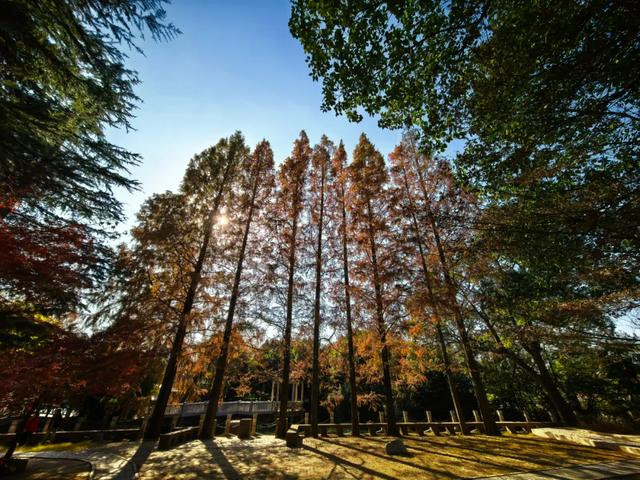 旅游的乐趣之一——结交更多的知己好友