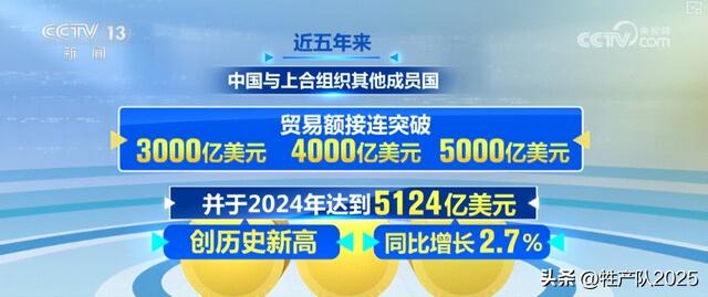 闪耀上合 绽放“津”彩