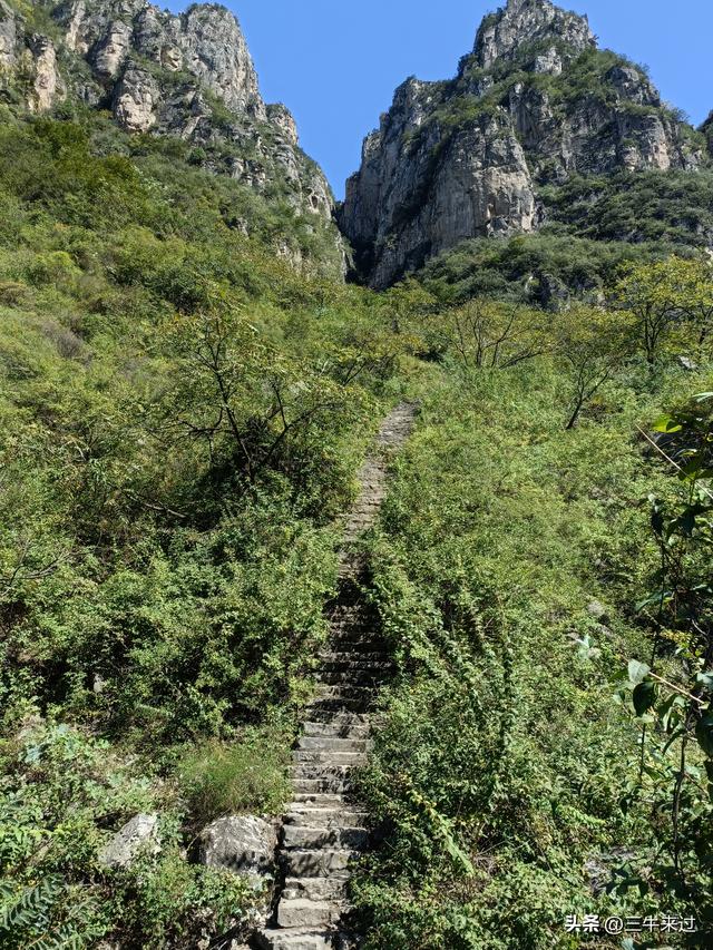 无为在歧路，壶关林州大名府7