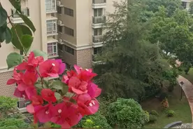 梦见自己在泥地里艰难地行走图片