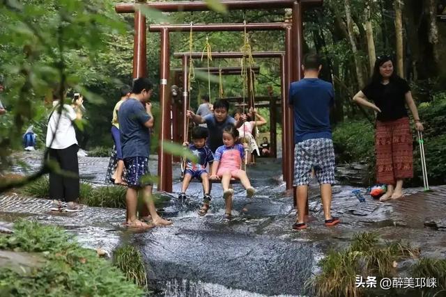 “两山”理念20年丨成都天台山：擦亮萤火虫IP，生态保护与经济效益双丰收‌