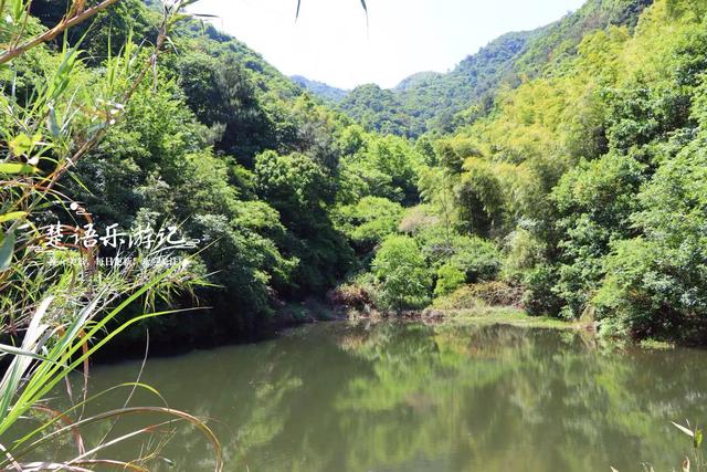 浙江绍兴发现一个森林公园，3条古道犹如绿野仙踪，成为徒步胜地