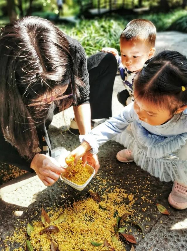 美翻了！这是接下来的上城……