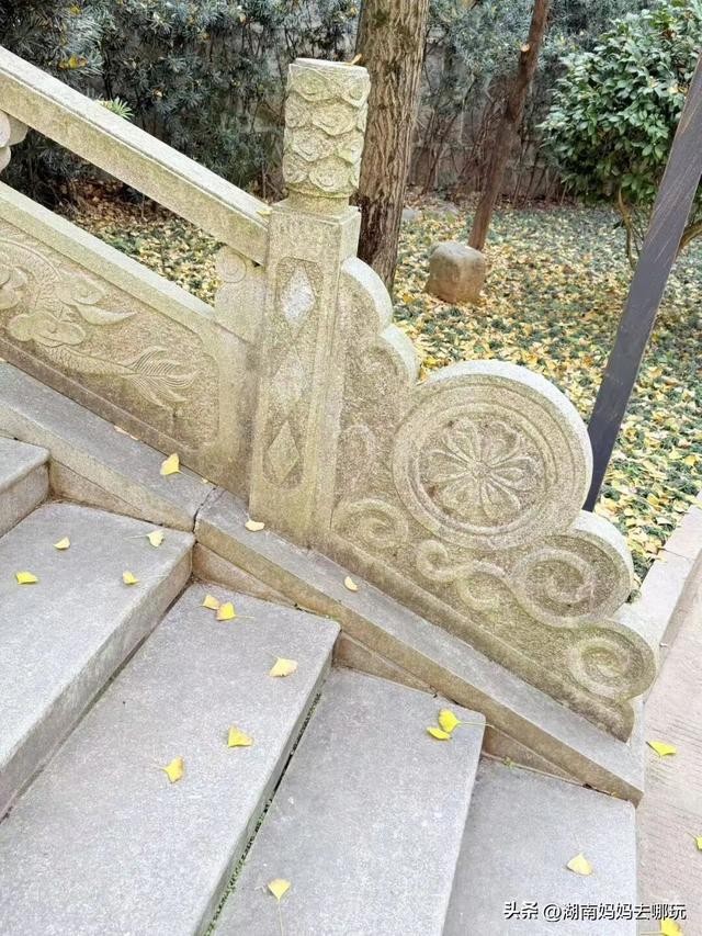 遛娃休闲两不误，在长沙“小禾木”邂逅12月初的灿烂风光！