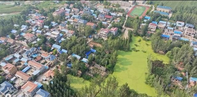 魅力曹县楼庄镇