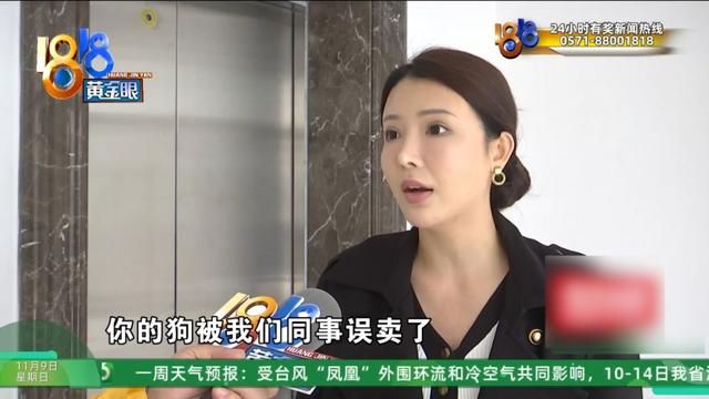 怎么又是这？她还拿出视频，里面“一动不动”，停了几只苍蝇....