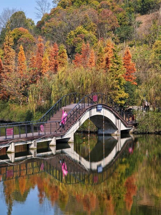 悦·遵义 | 美到犯规！播州这里藏着一个“油画世界”，随手一拍就是大片！