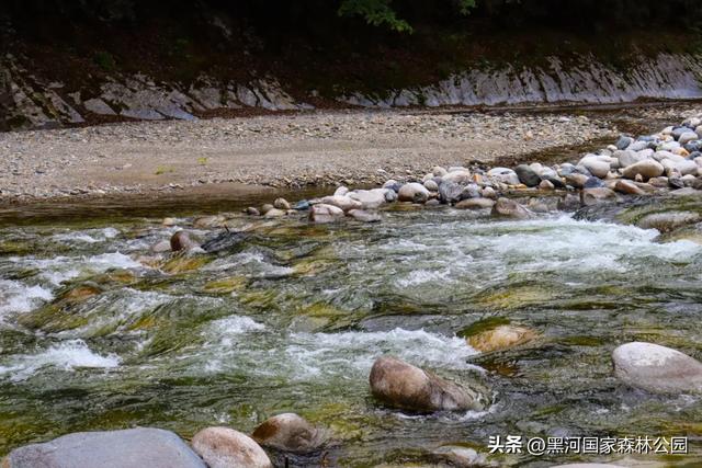 转给那个总说“没时间去远方”的朋友：你看，诗与远方，其实就在2小时车程外