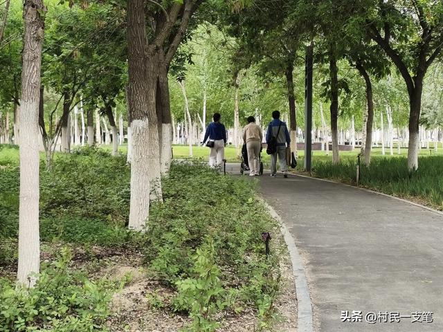 公园绿树成荫，路边花草芬芳，行人休闲漫步，享受快乐时光