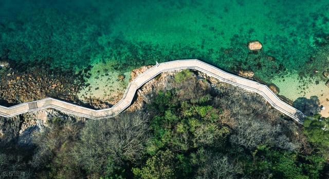 深圳把人看懵了：地铁像方便面，海山一伸手就到