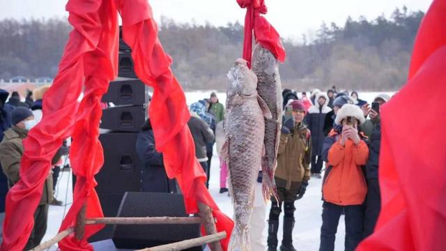 头鱼10888元成交！净月潭首届“潭鱼飞雁”冬捕活动启幕
