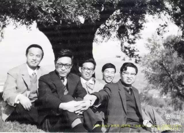 卡拉布里亚大学的松树