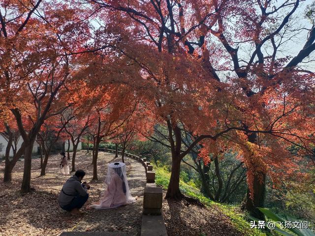 海拔仅30余米的虎丘山，何以竟称“吴中第一山”？