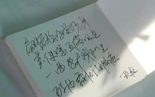 何晴告别式，儿子一席话揭开真相：那场漫天大雪是为她下的