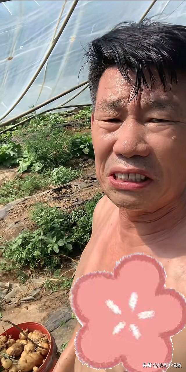 5位过气明星回归农村生活，风光不再，摆摊卖茶叶蛋，种地养猪