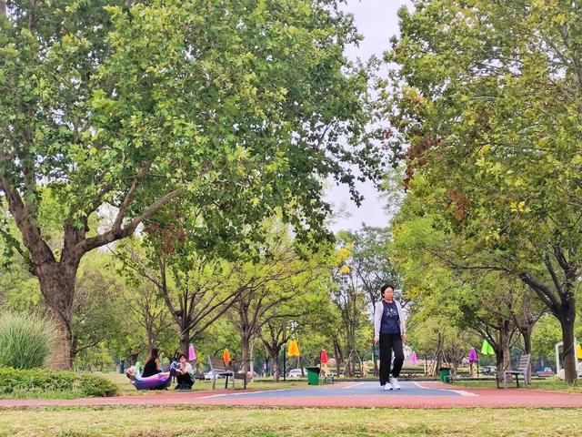 2026年来开封，这份时间表请收好！