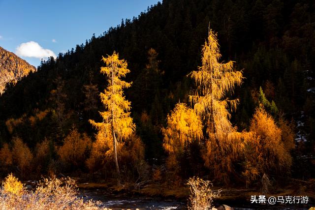 川西新通车的金川县至小金县的金小路即将成为下一条网红路