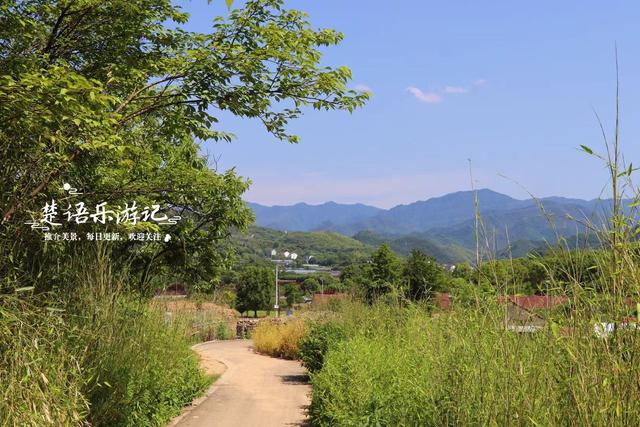 浙江绍兴发现一个森林公园，3条古道犹如绿野仙踪，成为徒步胜地