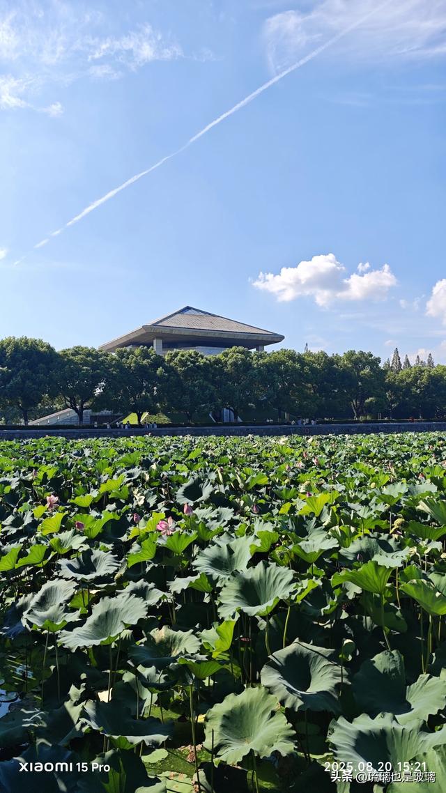 思念永恒——永远怀念敬爱的周总理