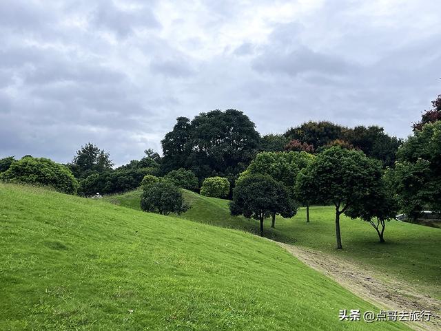 成都公园难得一见的旷野之景，画面超级唯美，地铁公交到达！