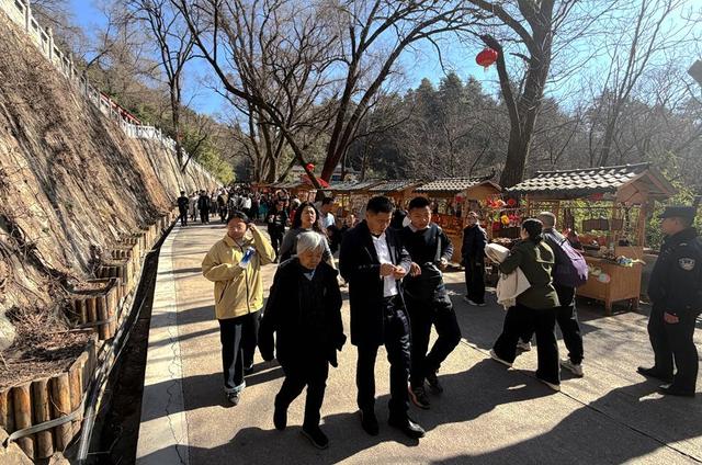 【网络中国节·春节】新春文旅市场火热 麦积山大景区迎来客流高峰