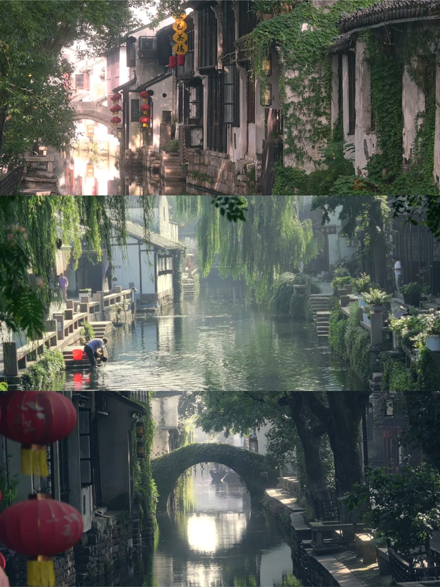 可当天往返！上海坐至苏州，最快30分钟直达！景美又好玩！
