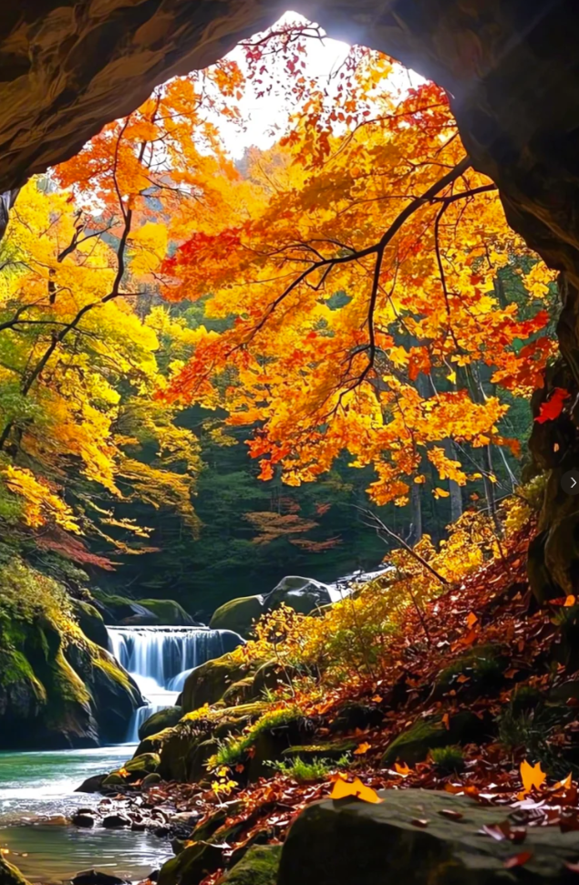 一次门票钱，免费一整年！潍坊5A级景区惠民年卡上线！